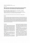 Research paper thumbnail of High Concentration of Daunorubicin and Daunorubicinol in Human Malignant Astrocytomas after Systemic Administration of Liposomal Daunorubicin