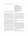 Research paper thumbnail of Comparison of Immunophenotypes in the Blood of Patients on Continuous Ambulatory Peritoneal Dialysis, Asymptomatic and with Peritonitis