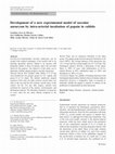 Research paper thumbnail of Development of a new experimental model of saccular aneurysm by intra-arterial incubation of papain in rabbits