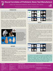 Research paper thumbnail of The Neural Correlates of Prehistoric Stone Tool Manufacture (2016)