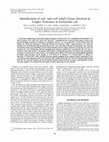 Research paper thumbnail of Identification ofcutCandcutF(nlpE) Genes Involved in Copper Tolerance inEscherichia coli