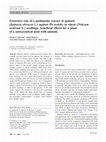 Research paper thumbnail of Protective role of a methanolic extract of spinach (Spinacia oleracea L.) against Pb toxicity in wheat (Triticum aestivum L.) seedlings: beneficial effects for a plant of a nutraceutical used with animals