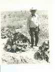 Research paper thumbnail of Notes on Zuni Agriculture in the 1970's and Prehistoric Agriculture in the El Morro Valley