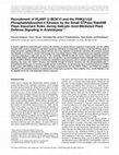 Research paper thumbnail of Recruitment of PLANT U-BOX13 and the PI4Kβ1/β2 Phosphatidylinositol-4 Kinases by the Small GTPase RabA4B Plays Important Roles during Salicylic Acid-Mediated Plant Defense Signaling in Arabidopsis