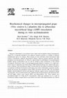 Research paper thumbnail of Biochemical changes in micropropagated grape ( Vitis vinifera L.) plantlets due to arbuscular-mycorrhizal fungi (AMF) inoculation during ex vitro acclimatization