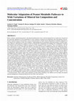 Research paper thumbnail of Molecular Adaptation of Peanut Metabolic Pathways to Wide Variations of Mineral Ion Composition and Concentration