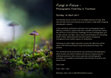 Research paper thumbnail of Fungi in Focus – Photographic Field Day