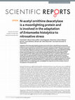 Research paper thumbnail of N-acetyl ornithine deacetylase is a moonlighting protein and is involved in the adaptation of Entamoeba histolytica to nitrosative stress