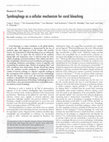 Research paper thumbnail of Symbiophagy as a cellular mechanism for coral bleaching