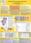 Research paper thumbnail of Lifestyle migration in rural areas of Aragón, Spain