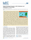 Research paper thumbnail of Impact of Surfactant Structure on NAPL Mobilization and Solubilization in Porous Media