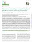 Research paper thumbnail of Foliar anatomical and morphological variation in Nothofagus pumilio seedlings under controlled irradiance and soil moisture levels