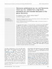 Research paper thumbnail of Spirosoma spitsbergense sp. nov. and Spirosoma luteum sp. nov., isolated from a high Arctic permafrost soil, and emended description of the genus Spirosoma