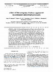 Research paper thumbnail of Effect of the seagrass Zostera capricorni on sediment microbial processes