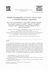 Research paper thumbnail of Benthic decomposition of Zostera marina roots: a controlled laboratory experiment