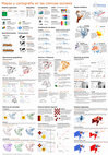 Research paper thumbnail of Mapas y cartografía en las ciencias sociales (cheat-sheet)