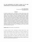 Research paper thumbnail of Los actos performativos del Colectivo Acciones de Arte como manifestación de la resistencia durante la dictadura chilena