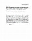 Research paper thumbnail of Generation of Improved Human Cerebral Organoids from Single Copy DYRK1A Knockout Induced Pluripotent Stem Cells in Trisomy 21: Hypothetical Solutions for Neurodevelopmental Models and Therapeutic Alternatives in Down Syndrome