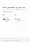 Research paper thumbnail of Analysis of recombinant and native CD4 by one‐and two‐dimensional gel electrophoresis