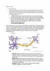 Research paper thumbnail of Sistem koordinasi