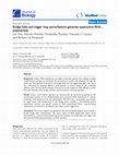 Research paper thumbnail of Bridge helix and trigger loop perturbations generate superactive RNA polymerases