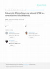 Research paper thumbnail of Eukaryotic RNA polymerase subunit RPB8 is a new relative of the OB family