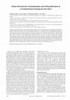 Research paper thumbnail of Urban Streamwater Contamination and Self-purification in a Central-Eastern European City. Part I