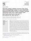 Research paper thumbnail of High-grade papillary urothelial carcinoma of the urinary tract: a clinicopathologic analysis of a post-World Health Organization/International Society of Urological Pathology classification cohort from a single academic center