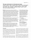 Research paper thumbnail of The open conformation of a Pseudomonas lipase