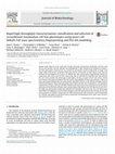 Research paper thumbnail of Rapid high-throughput characterisation, classification and selection of recombinant mammalian cell line phenotypes using intact cell MALDI-ToF mass spectrometry fingerprinting and PLS-DA modelling