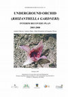 Research paper thumbnail of Underground Orchid (Rhizanthella Gardneri) Interim Recovery Plan 2003-2008