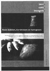 Research paper thumbnail of Ruwe bolsters, bierdrinkers en haringers (2105) Nina Jaspers, Yurie Eijskoot, Kinie Esser (edited)  English summary by James Symonds