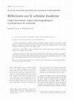 Research paper thumbnail of Aurélien Girard and Benoît Schmitz, "Réflexions sur le schisme moderne : cadres doctrinaux, enjeux historiographiques et perspectives de recherche"