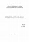 Research paper thumbnail of ESTRUCTURA ORGANIZACIONAL