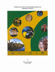 Research paper thumbnail of Estudio de caso sobre la Carretera Interoceanica en la Amazonia Sur del peru