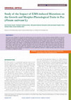 Research paper thumbnail of Study of the Impact of EMS-induced Mutations on the Growth and Morpho-Phenological Traits in Pea (Pisum sativum L