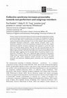 Research paper thumbnail of Collective synchrony increases prosociality towards non-performers and outgroup members