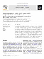 Research paper thumbnail of Endocranial volumes of primate species: scaling analyses using a comprehensive and reliable data set