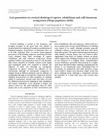 Research paper thumbnail of Gait parameters in vertical climbing of captive, rehabilitant and wild Sumatran orang-utans (Pongo pygmaeus abelii)