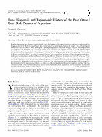 Research paper thumbnail of Bone Diagenesis and Taphonomic History of the Paso Otero 1 Bone Bed, Pampas of Argentina