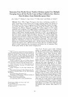 Research paper thumbnail of Immature East Pacific green turtles (Chelonia mydas) use multiple foraging areas off the Pacific Coast of Baja California Sur, Mexico: first evidence from mark-recapture data