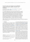 Research paper thumbnail of Convective activity in the Labrador Sea: Preconditioning associated with decadal variability in subsurface ocean stratification