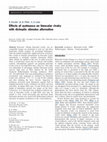 Research paper thumbnail of Effects of ayahuasca on binocular rivalry with dichoptic stimulus alternation