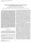 Research paper thumbnail of Repression of RNA Polymerase II and III Transcription during M Phase of the Cell Cycle