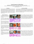 Research paper thumbnail of Granulosa cell tumour, Mixed germ cell tumour and Sertoli cell tumour in Arabian Mares