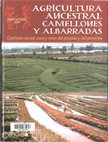 Research paper thumbnail of Cacicazgos cíclicos e intensificación agrícola en los Llanos Occidentales de Venezuela