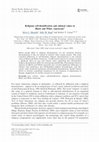 Research paper thumbnail of Religious self-identification and cultural values in Black and White Americans1