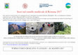 Research paper thumbnail of Scavi nel castello medievale di Rontana 2017