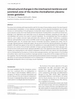 Research paper thumbnail of Ultrastructural changes in the interhaemal membrane and junctional zone of the murine chorioallantoic placenta across gestation