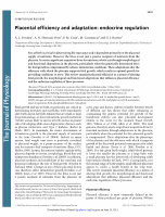 Research paper thumbnail of Placental efficiency and adaptation: endocrine regulation